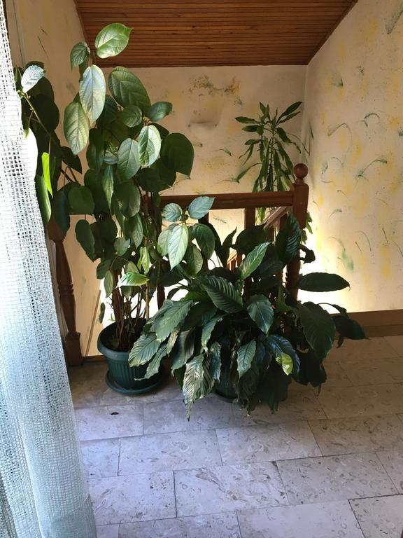 Apartments Upitnik Herceg Novi Exterior foto